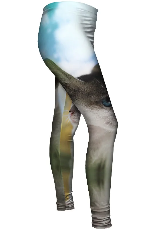 Editorial Design Dream Kitten