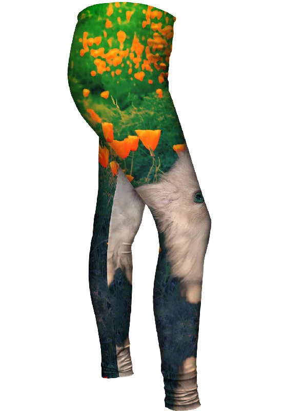 High-end Customization Learning Kitten