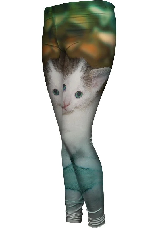 Sports Style Relaxing Kitten